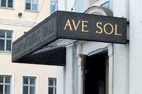 AVE SOL.PNG (90535 bytes)